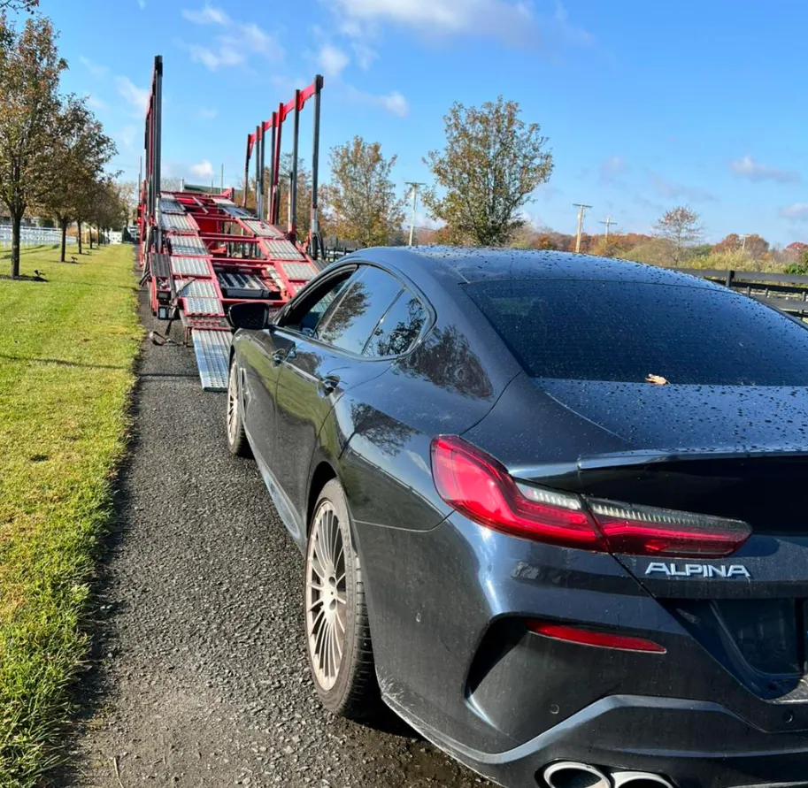 Professional who should use classic car shipping services? — Liberty Car Shipping